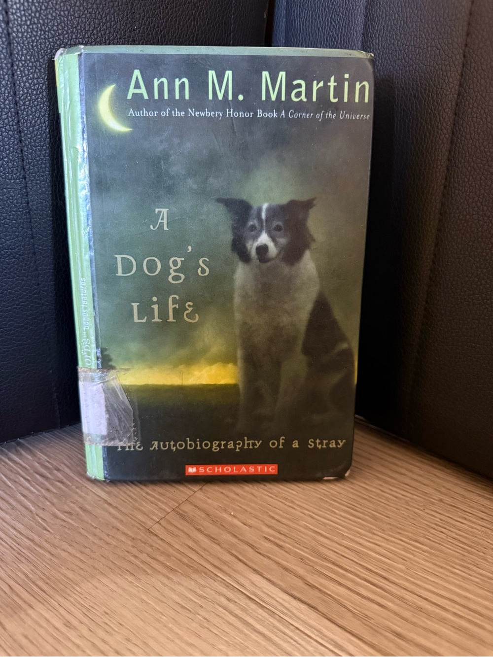A Dog's Life - Green Cover